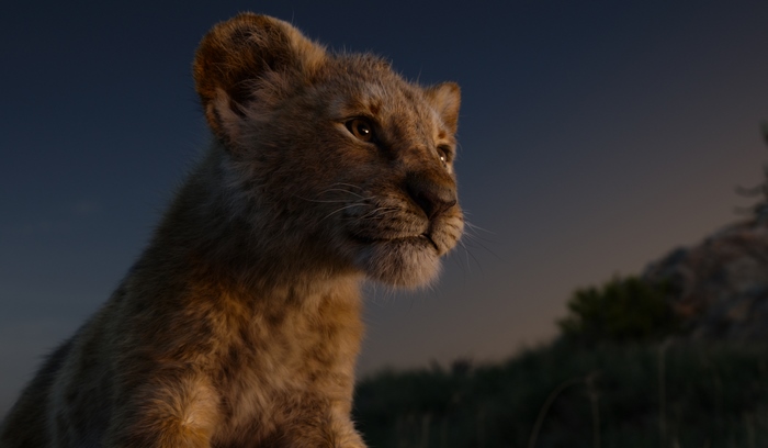 Simba from The Lion King