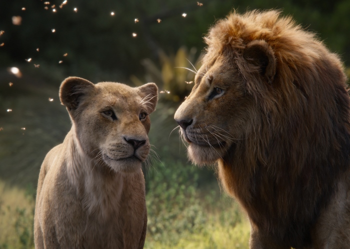 Simba and Nala from The Lion King