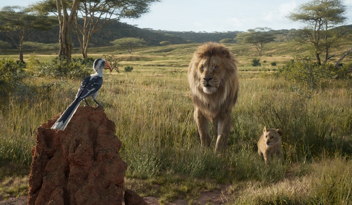 Simba and Zazu in The Lion King