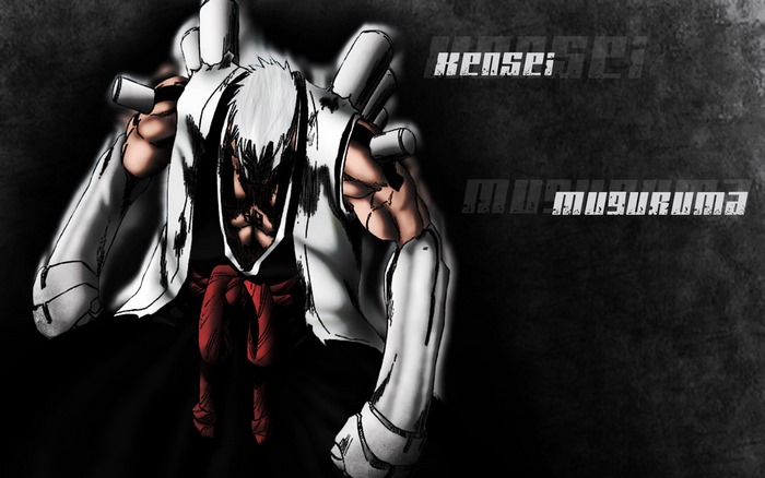 Kensei Muguruma from Bleach