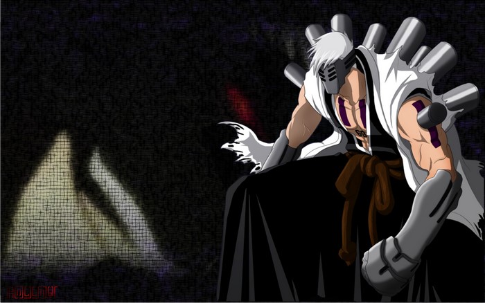 Kensei Muguruma from Bleach