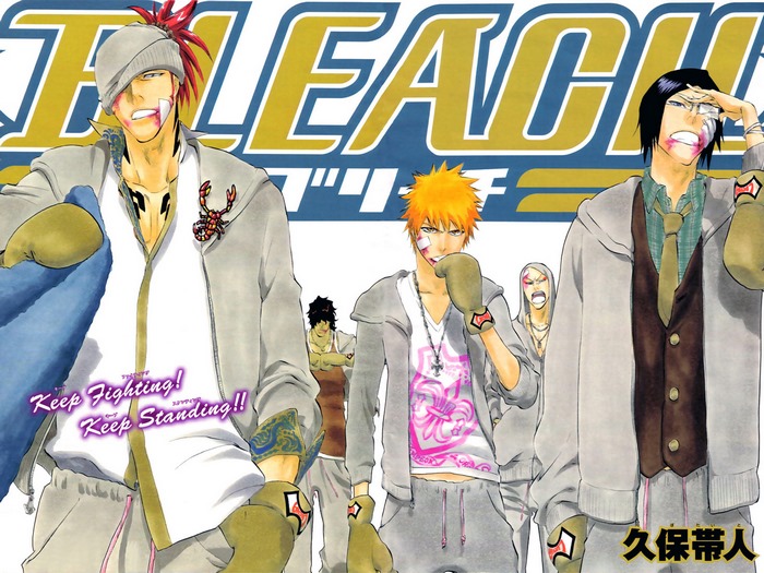 Bleach characters with boxing gloves