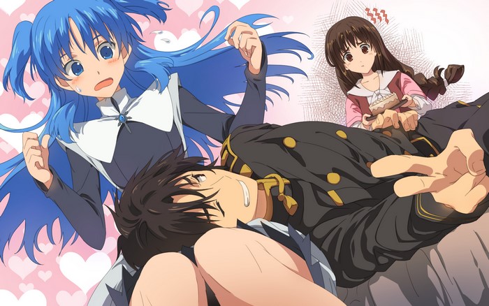 Chtholly Nota Seniorious from SukaSuka