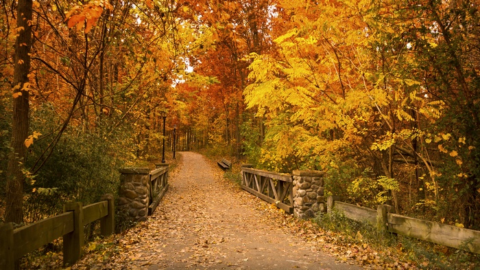 Autumn path with stone bridge and fall foliage