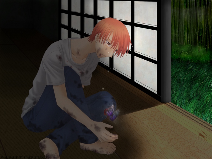 Kyo Sohma looking at a butterfly