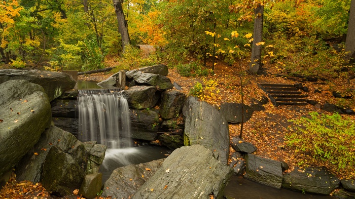 Waterfall in a forest during autumn