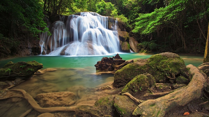 A cascading waterfall in a lush green forest