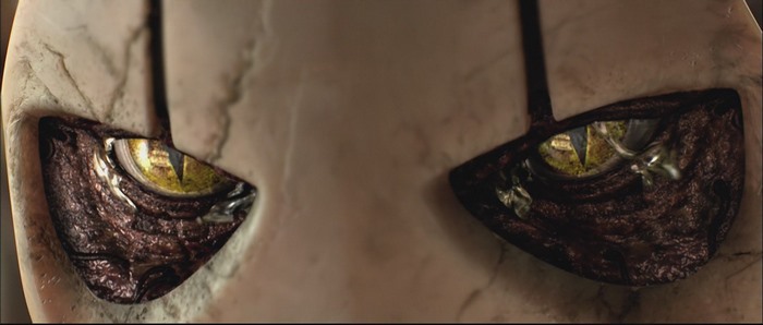 General Grievous's eyes from Star Wars