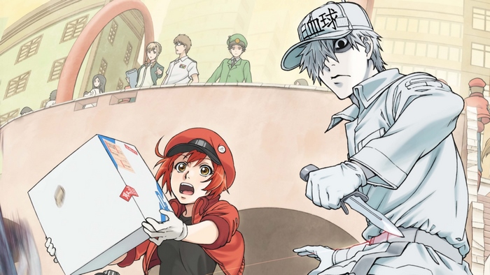White Blood Cell U-1146 and Red Blood Cell from Cells At Work!