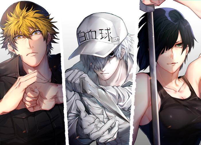 White Blood Cell U-1146 from Cells At Work!