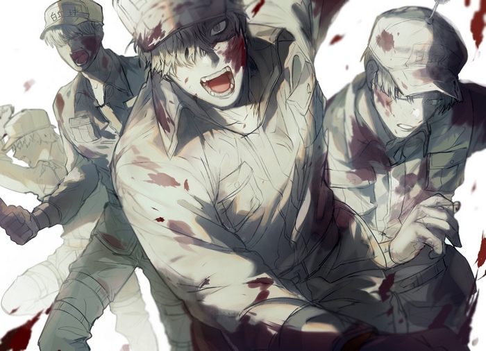 White Blood Cell U-1146 from Cells At Work!