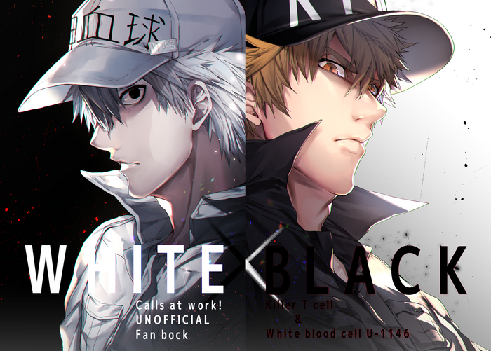 White Blood Cell U-1146 and Killer T Cell from Cells At Work!
