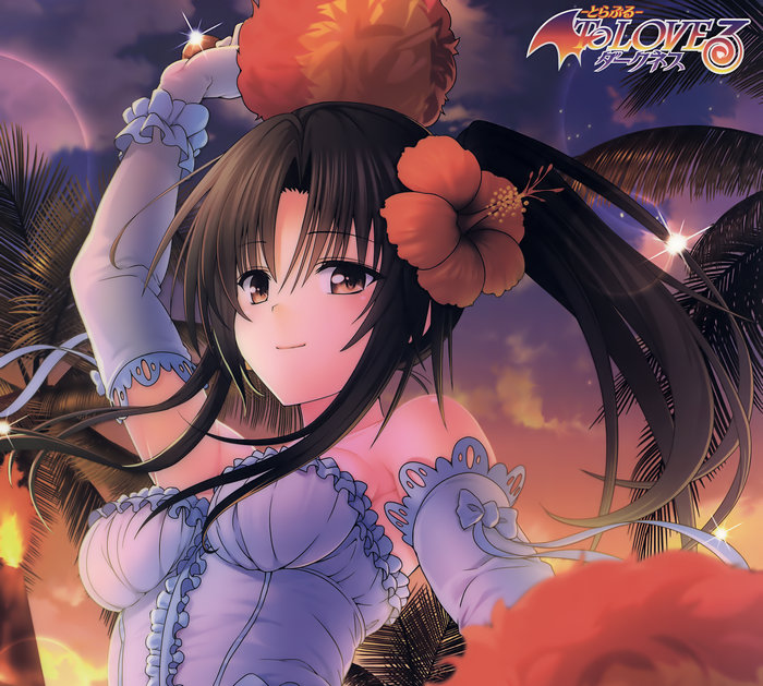Yui Kotegawa from To LOVE Ru Darkness