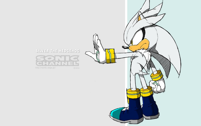 Silver the Hedgehog from Sonic Channel