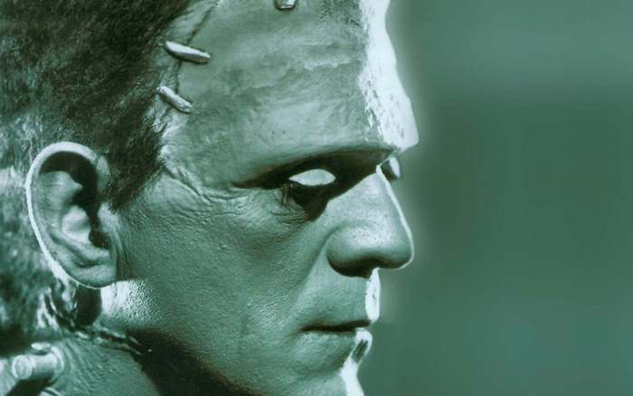 Frankenstein's Monster close-up