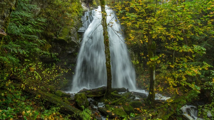 Waterfall in a lush forest with autumn foliage