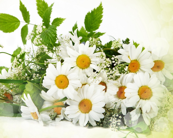 Bouquet of daisies and wildflowers