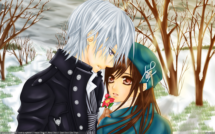 Zero Kiryu and Yuki Cross from Vampire Knight