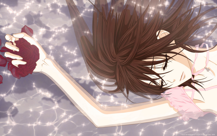 Yuki Cross from Vampire Knight