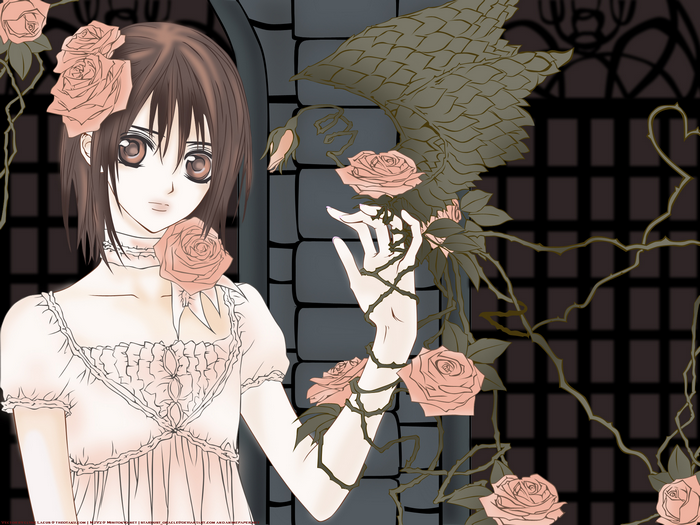 Yuki Cross with Roses