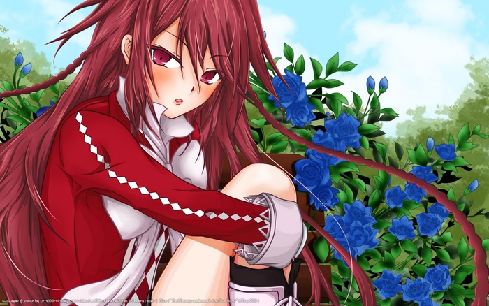Alice Baskerville from Pandora Hearts