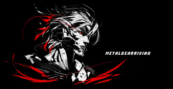 Raiden from Metal Gear Rising