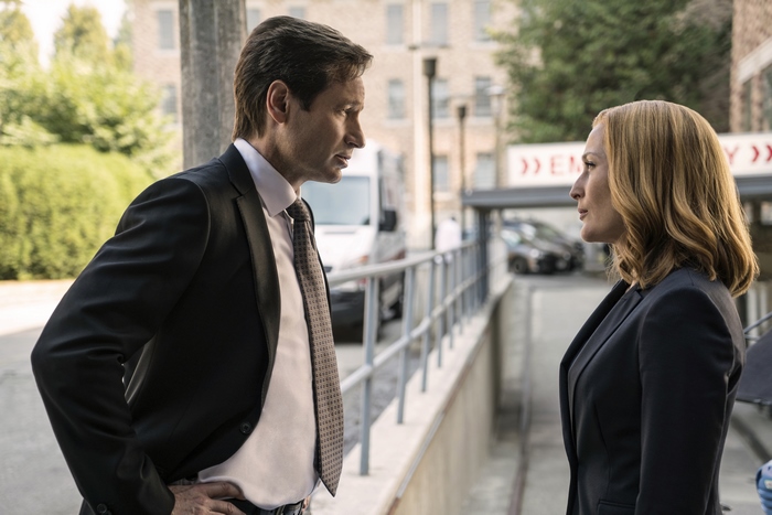 Fox Mulder and Dana Scully from The X-Files