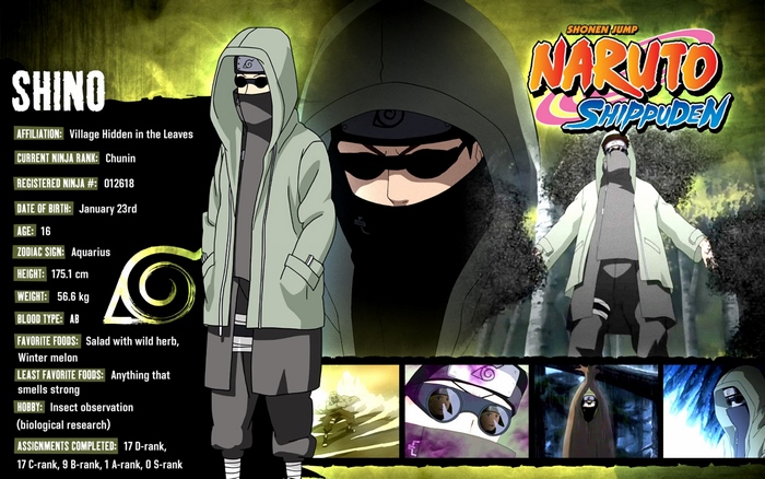 Shino from Naruto Shippuden character profile