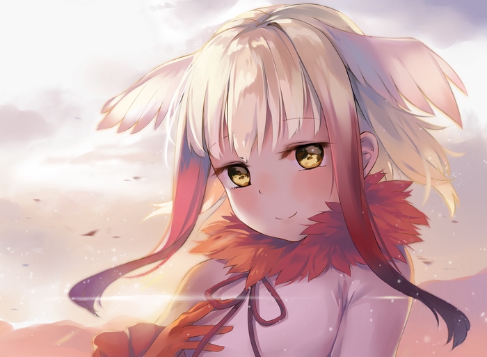 Crested Ibis from Kemono Friends