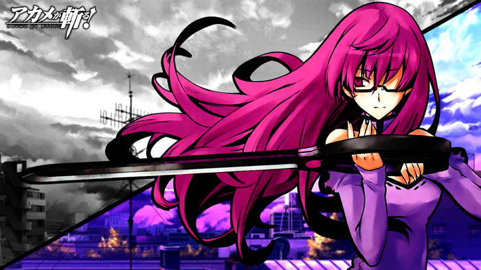 Sheele from Akame Ga Kill! with sword