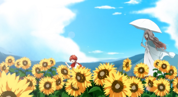 Ittoki Otoya in a sunflower field