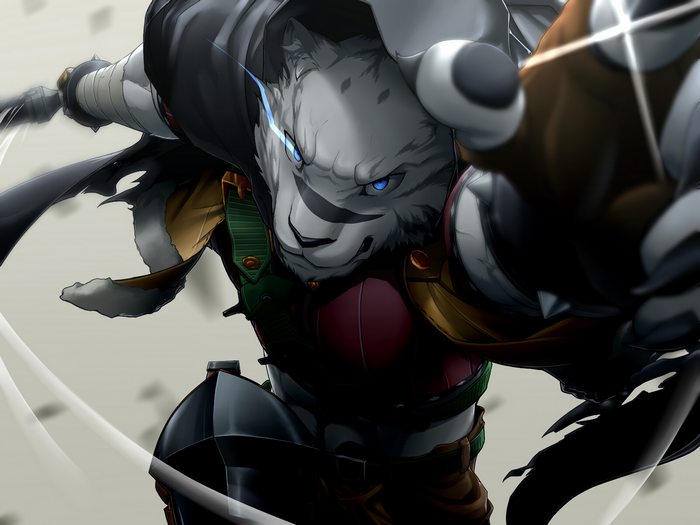Mercenary from Grimoire of Zero