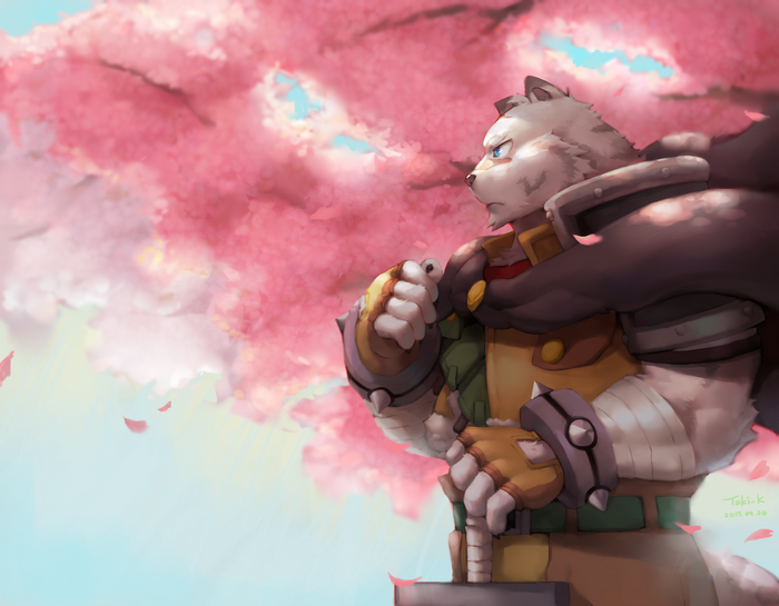 Mercenary from Grimoire of Zero with cherry blossoms