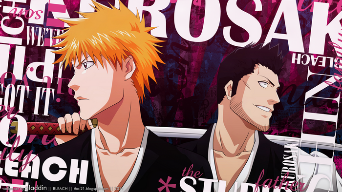 Isshin Kurosaki from Bleach