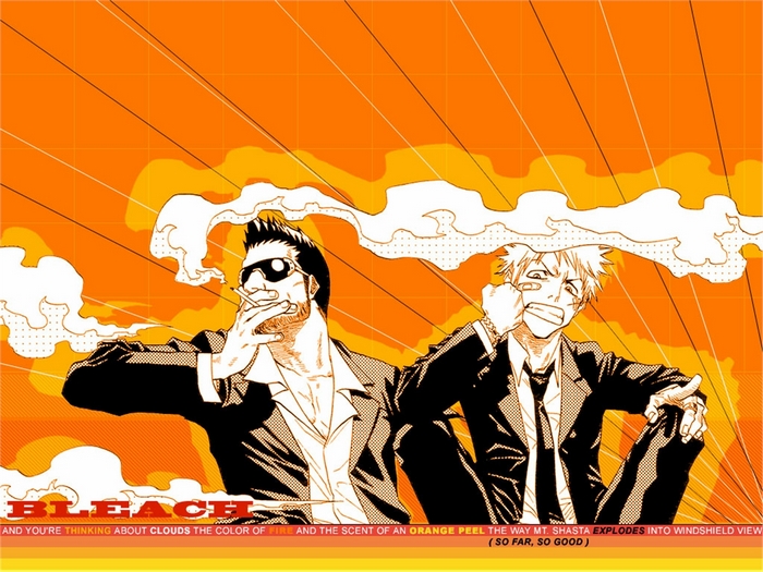 Isshin and Ichigo from Bleach