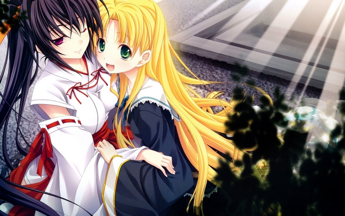 Akeno Himejima from High School DxD
