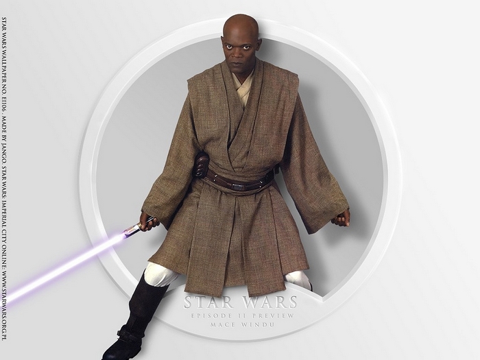 Mace Windu from Star Wars
