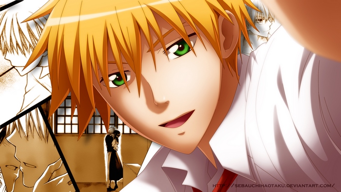Takumi Usui from Kaichou wa Maid-sama!