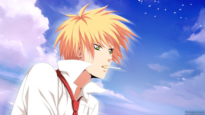 Takumi Usui from Kaichou wa Maid-sama!