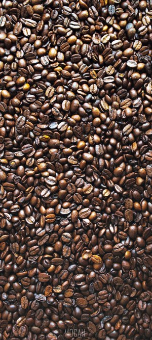 Roasted Coffee Beans