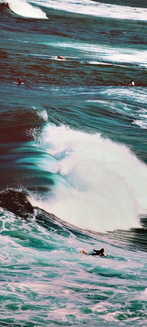 Surfers in the Ocean