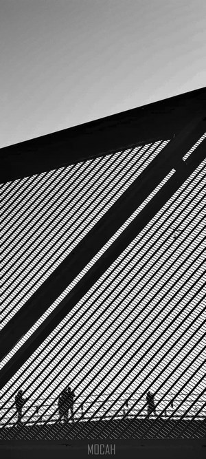 Abstract Silhouettes Behind Geometric Metal Grid