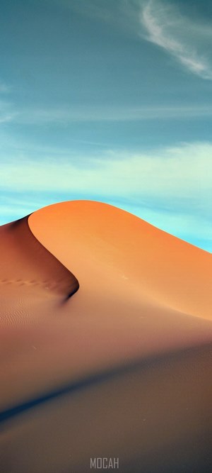 Desert dune with sand tracks and blue sky