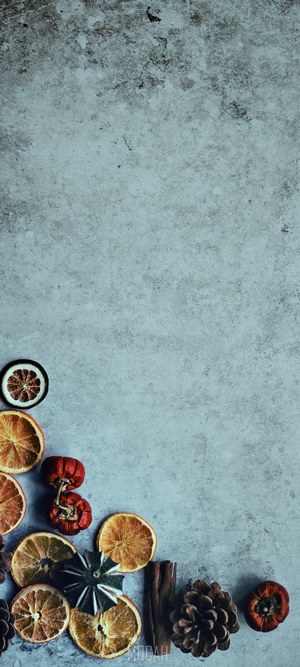 Christmas dried fruit and pine cones