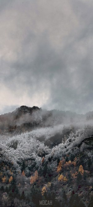 Mountain covered in snow and mist