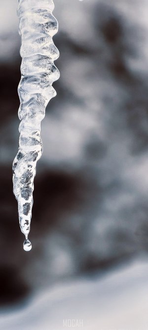 Close-up of a melting icicle with a water droplet