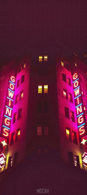 Gowings building at night with neon lights