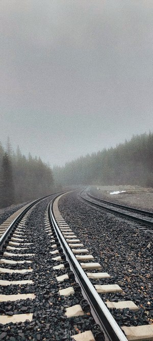 Train tracks in a foggy forest