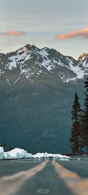 Snow-capped mountains and forest with a road