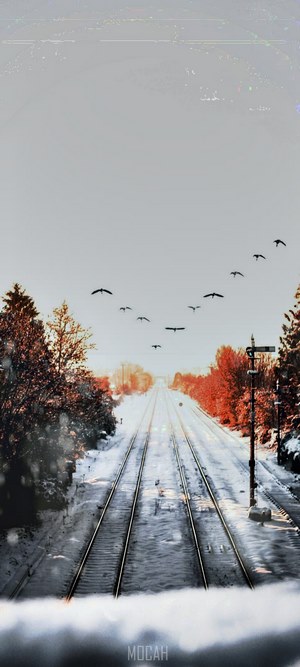 Winter Railway Tracks with Birds Flying